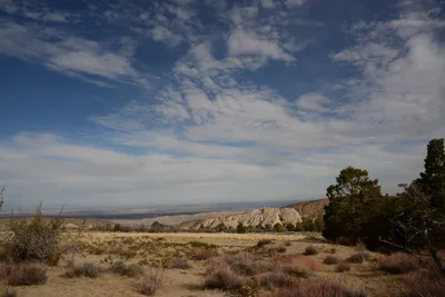 DSC_6234 (Large).JPG